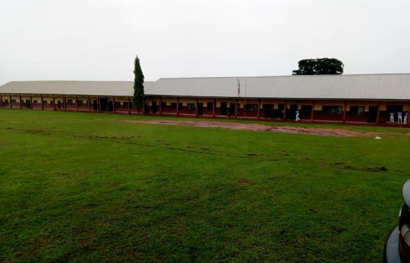 overview Image